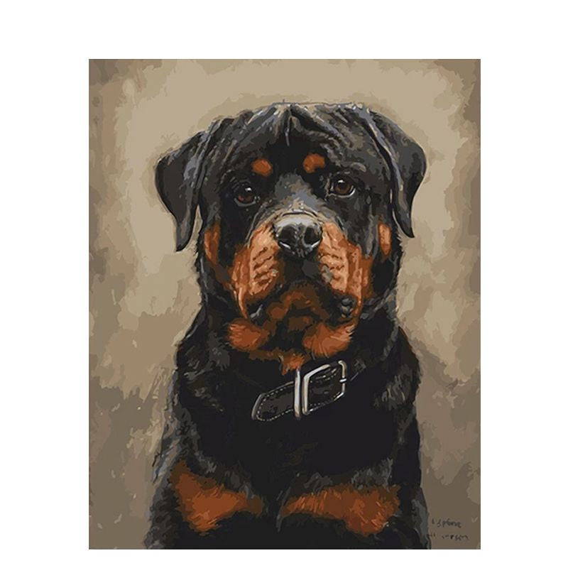 Rottweiler