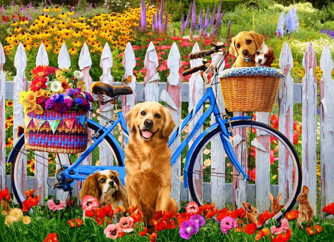 Golden Retriever mit Fahrrad