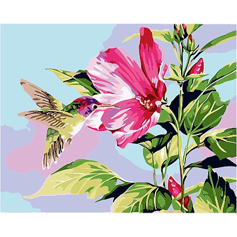 Kolibri