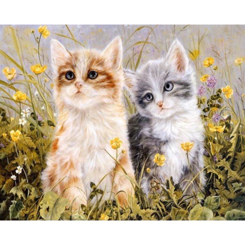 Katzen