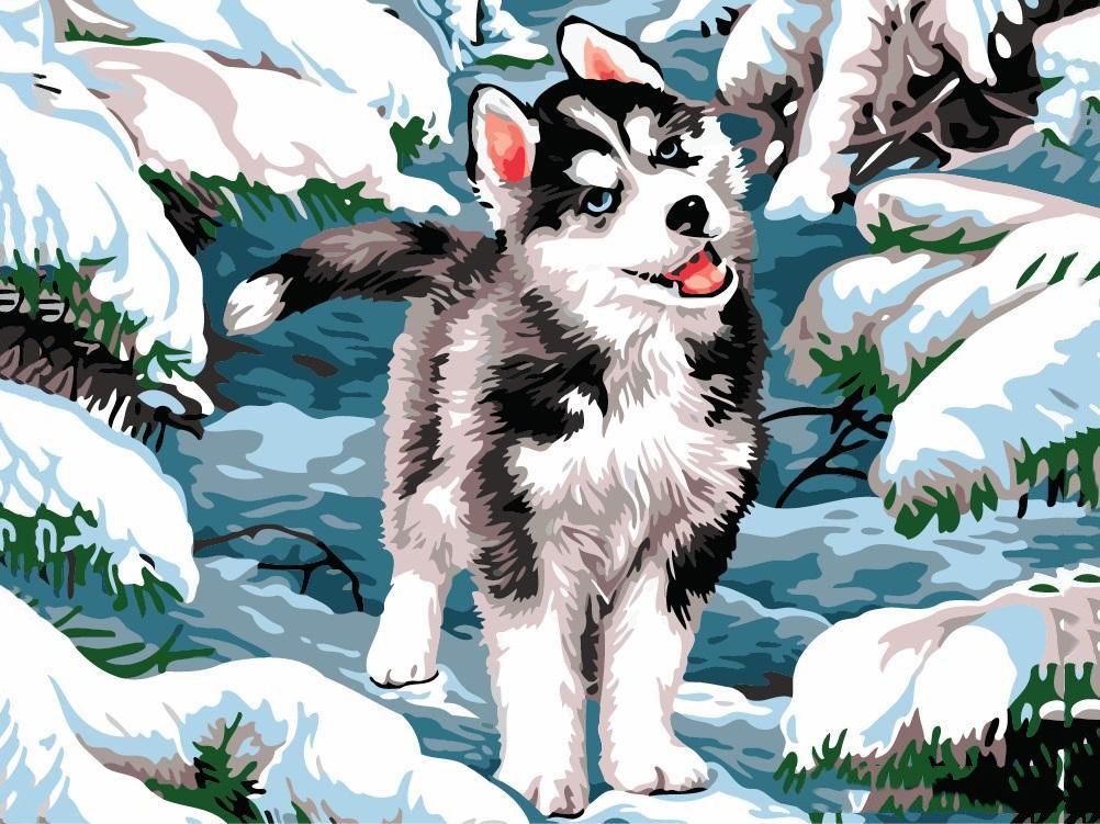 Huskywelpe im Schnee