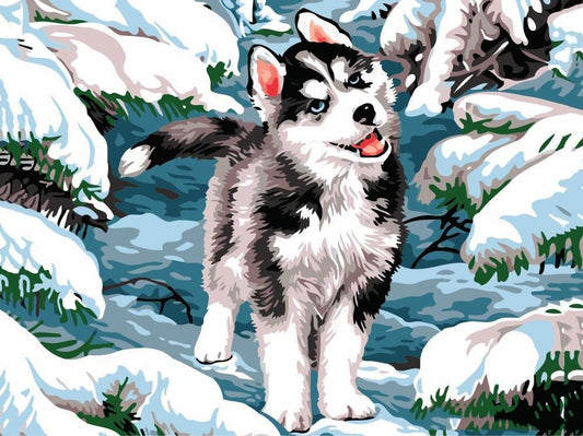 Huskywelpe im Schnee