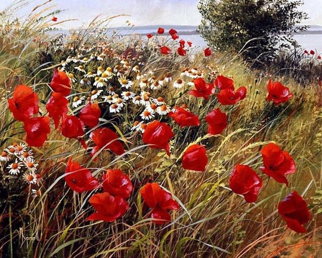 Mohnblumen
