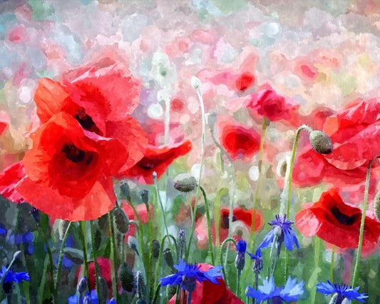 Mohnblumen