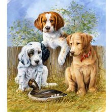 Hunde mit Ente