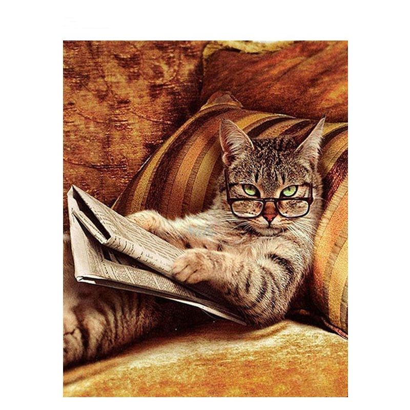Katze mit Zeitung