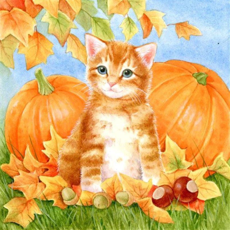 Katze mit Kürbissen