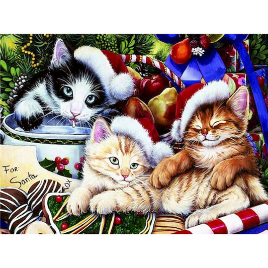 Katzen Weihnacht