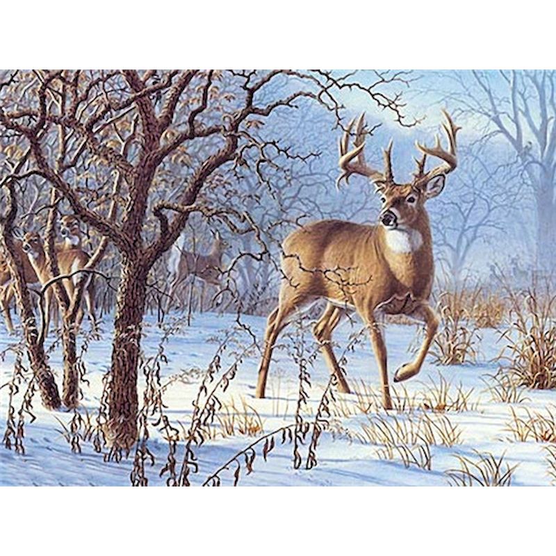 Hirsch im Schnee