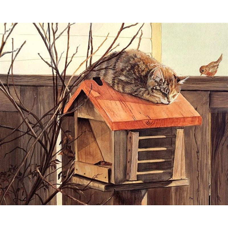 Katze auf Vogelhaus