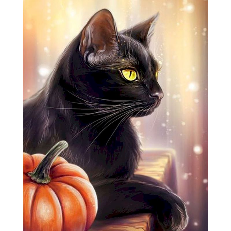 Katze mit Kürbis