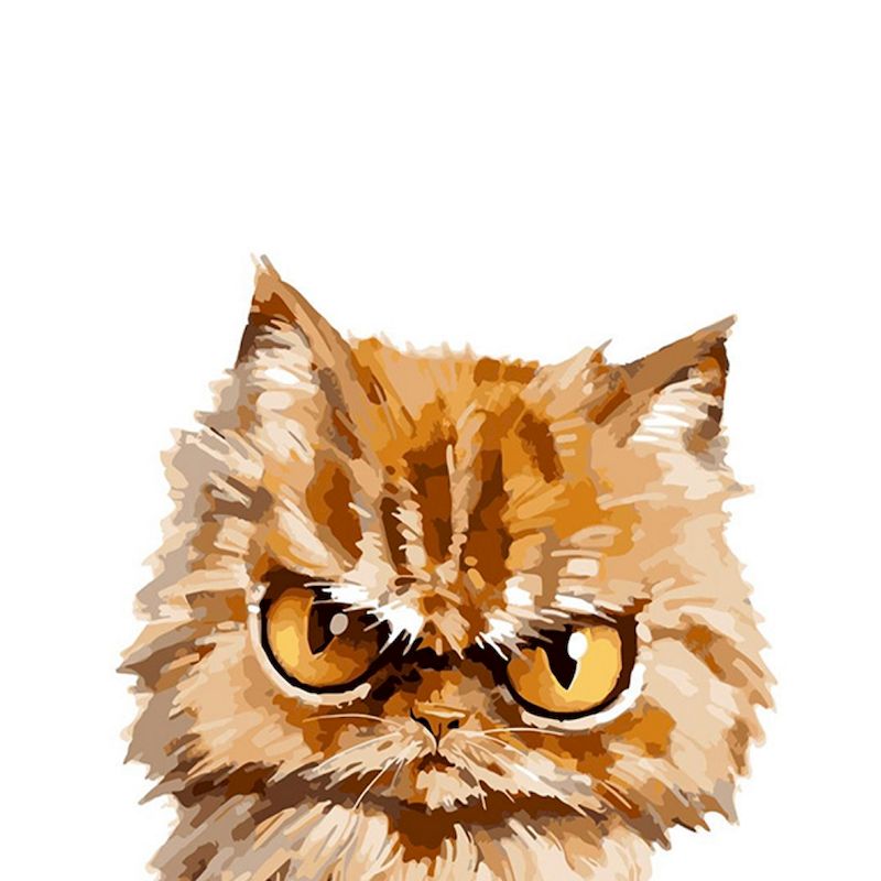 Katze