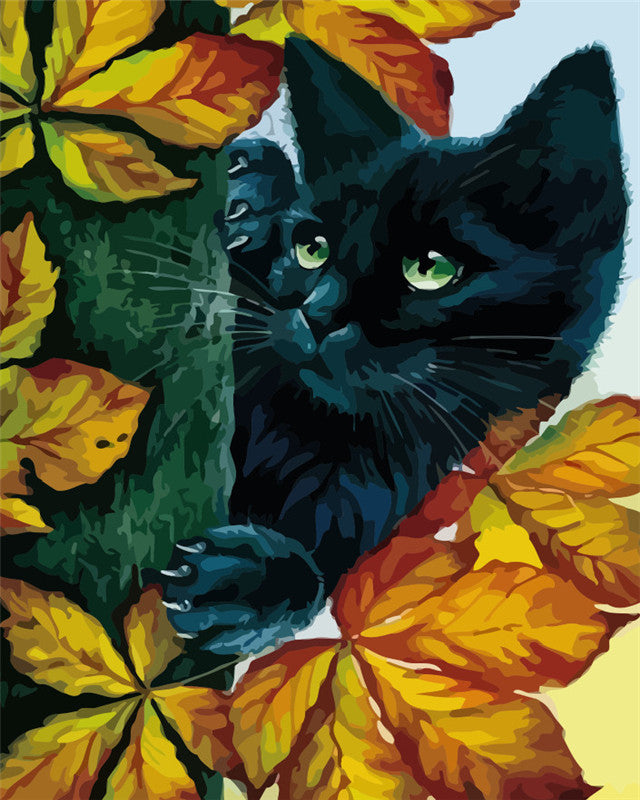 Katze