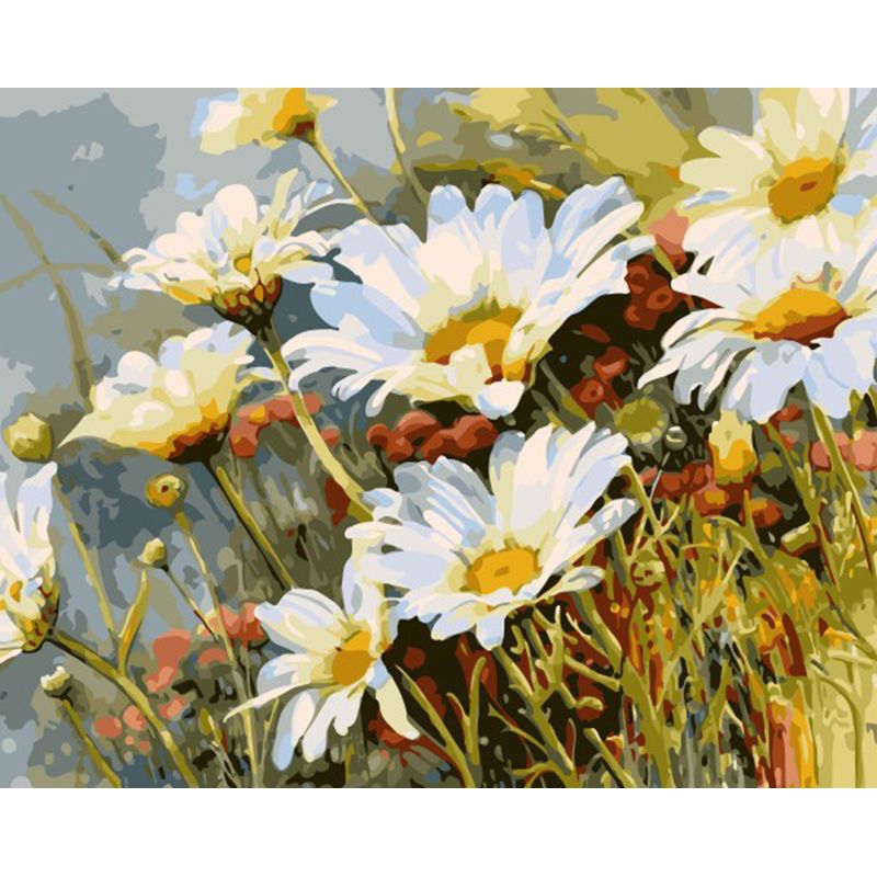 Margeriten