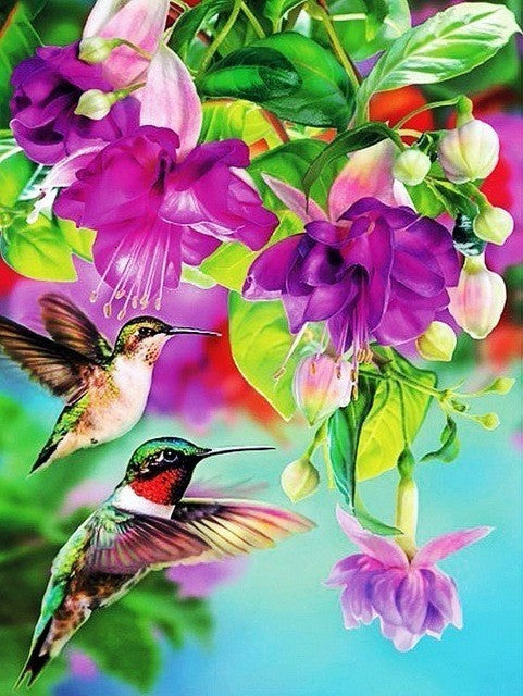 Kolibri