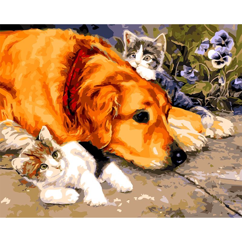 Hund mit Katze