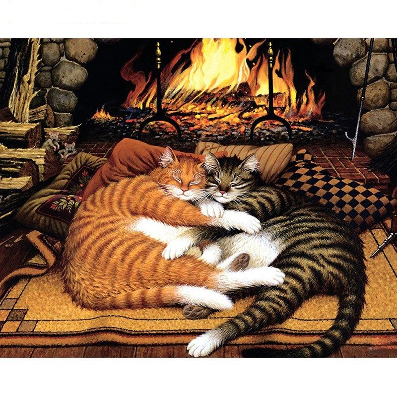 Katzen vor dem Kamin