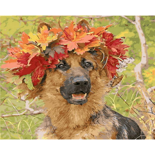 Schäferhund