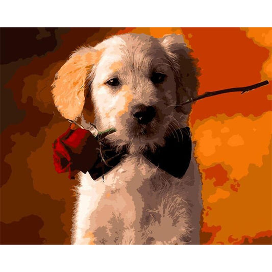 Golden Retriever mit Rose