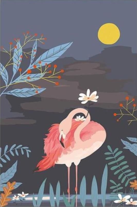 Flamingo