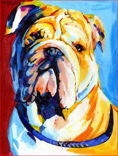 Bulldogge