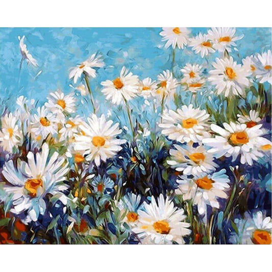 Gänseblümchen