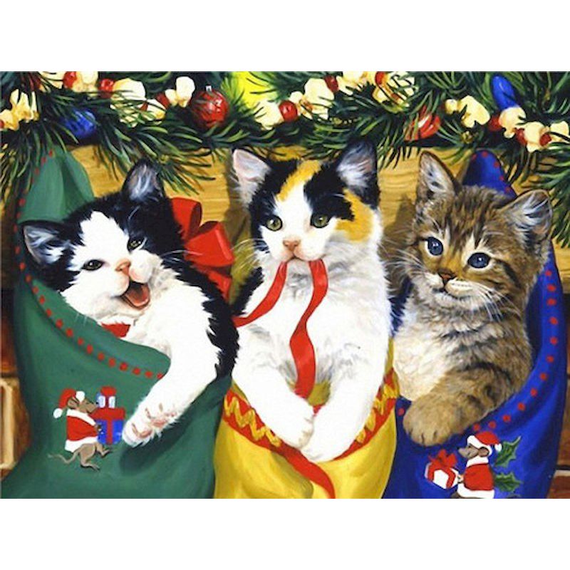 Katzen Weihnacht