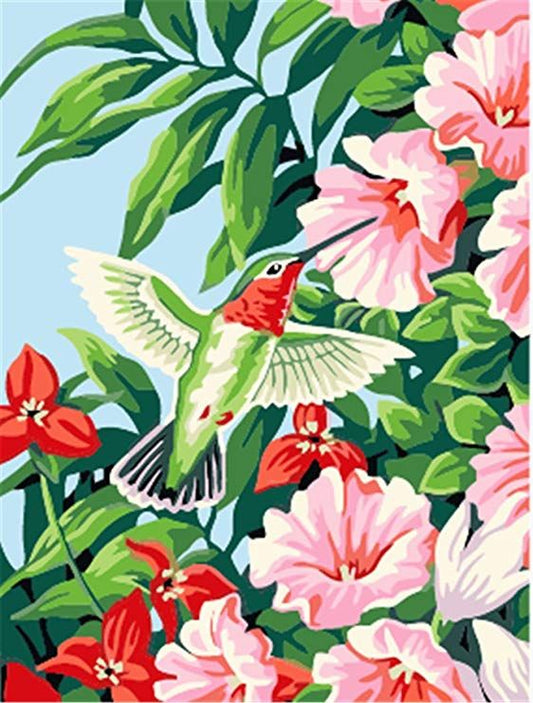 Kolibri